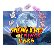Slot Sheng Xiao Bingo MARGAJP