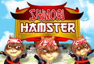 Slot Shinobi Hamster MARGAJP