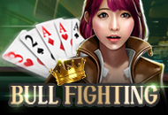 Sports Bull Fighting