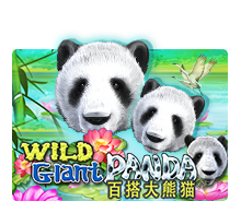 Slot Wild Giant Panda MARGAJP