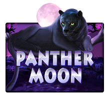 Slot Panther Moon MARGAJP