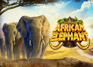 Slot African Elephant MARGAJP