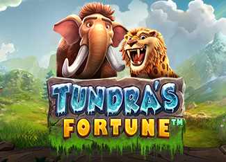 Slot Tundras Fortune MARGAJP